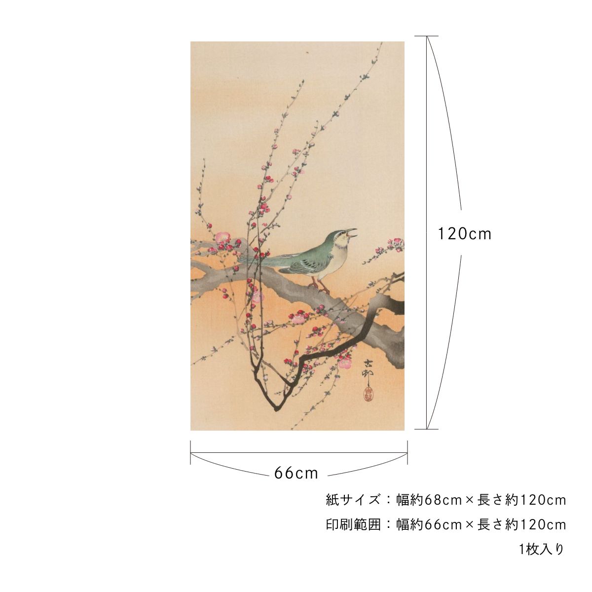 貼ってはがせる壁紙シート アートシリーズ 和の巨匠たち 日本の名画 HC_J_017 小原古邨 梅に鴬 シールタイプ 幅約66cm×高さ約120cm 1枚入り アサヒペン