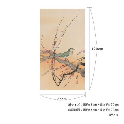 貼ってはがせる壁紙シート アートシリーズ 和の巨匠たち 日本の名画 HC_J_017 小原古邨 梅に鴬 シールタイプ 幅約66cm×高さ約120cm 1枚入り アサヒペン