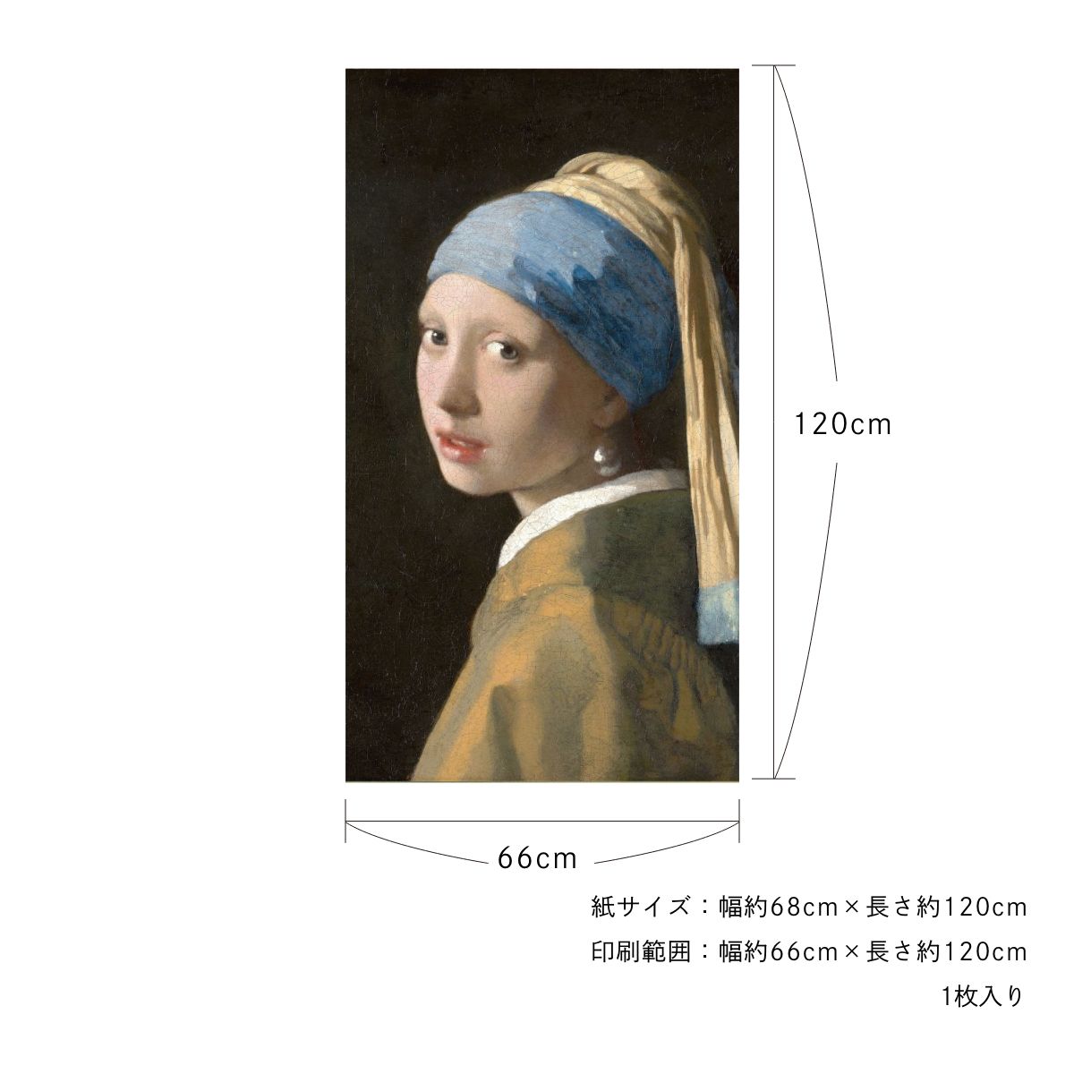 貼ってはがせる壁紙シート アートシリーズ 西洋の巨匠たち 世界の名画 HC_W_011 フェルメール 真珠の耳飾りの少女 シールタイプ 幅約66cm×高さ約120cm 1枚入り アサヒペン